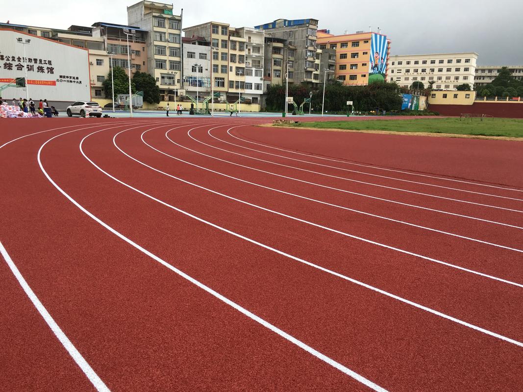 宁波市塑胶跑道塑胶跑道材料 - 方案